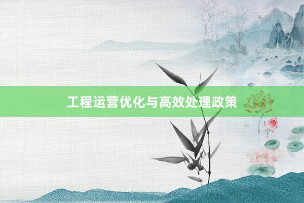 工程运营优化与高效处理政策